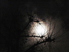 Lunar light