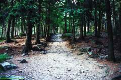 Trail to Stepanka, Liberecky Kraj, Bohemia(CZ), 2007