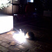 Cat heating himself with a floor projector