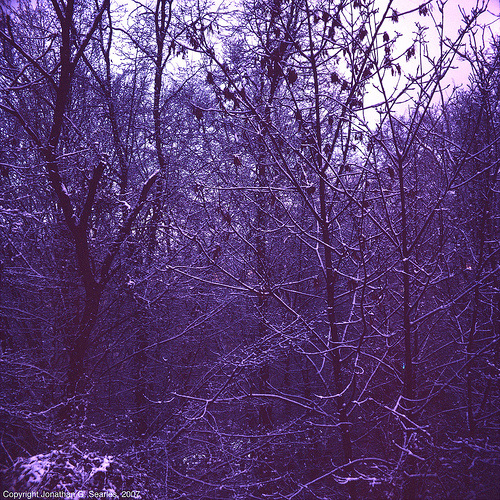 Dark Blue Winter, near Vojenska Nemocnice, Prague, CZ, 2007