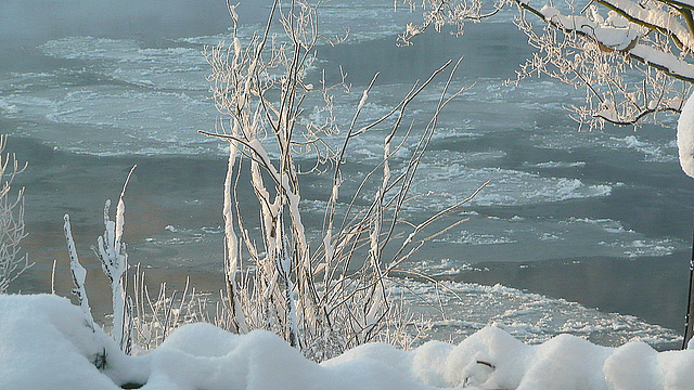 Minus 20°C - Eisschollen auf der Elbe