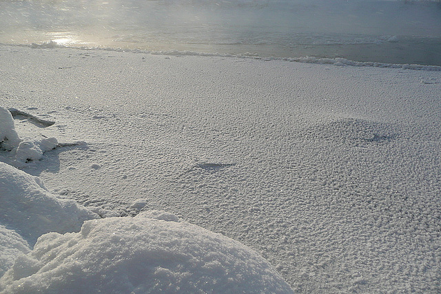 7.1.2009 - minus 20°C - das Ufer ist vereist  -