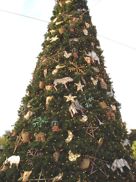 Giant Xmas tree - Arbre de Noël géant -  Disneyworld / December 29th 2006.