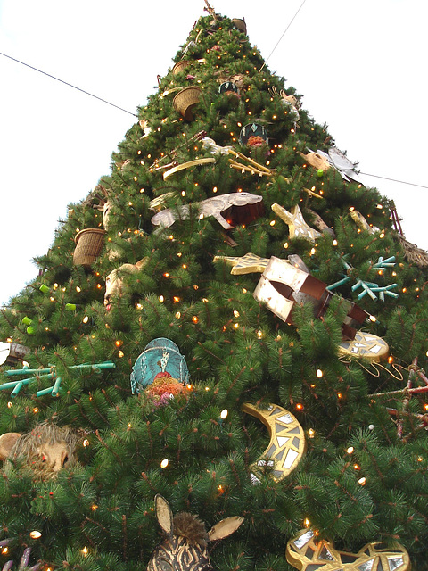 Giant Xmas tree - Arbre de Noël géant !  Disneyworld