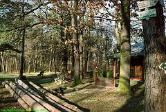 Cabin In Milichovsky Les, Haje, Prague, CZ, 2007