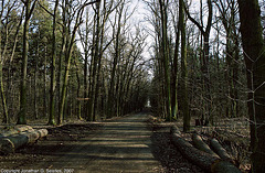 Trail To Uhrineves, Milichovsky Les, Haje, Prague, CZ, 2007