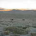 Geo Cabin View of Striped Butte