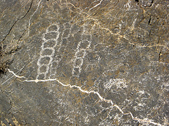 Titus Canyon Petroglyphs (1193)
