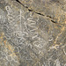 Titus Canyon Petroglyphs (1194)