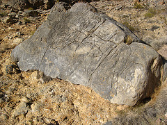 Titus Canyon Petroglyphs (1199)