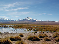 Altiplano 00