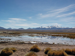 Altiplano 01