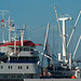 Cap San Diego im Hamburger Hafen