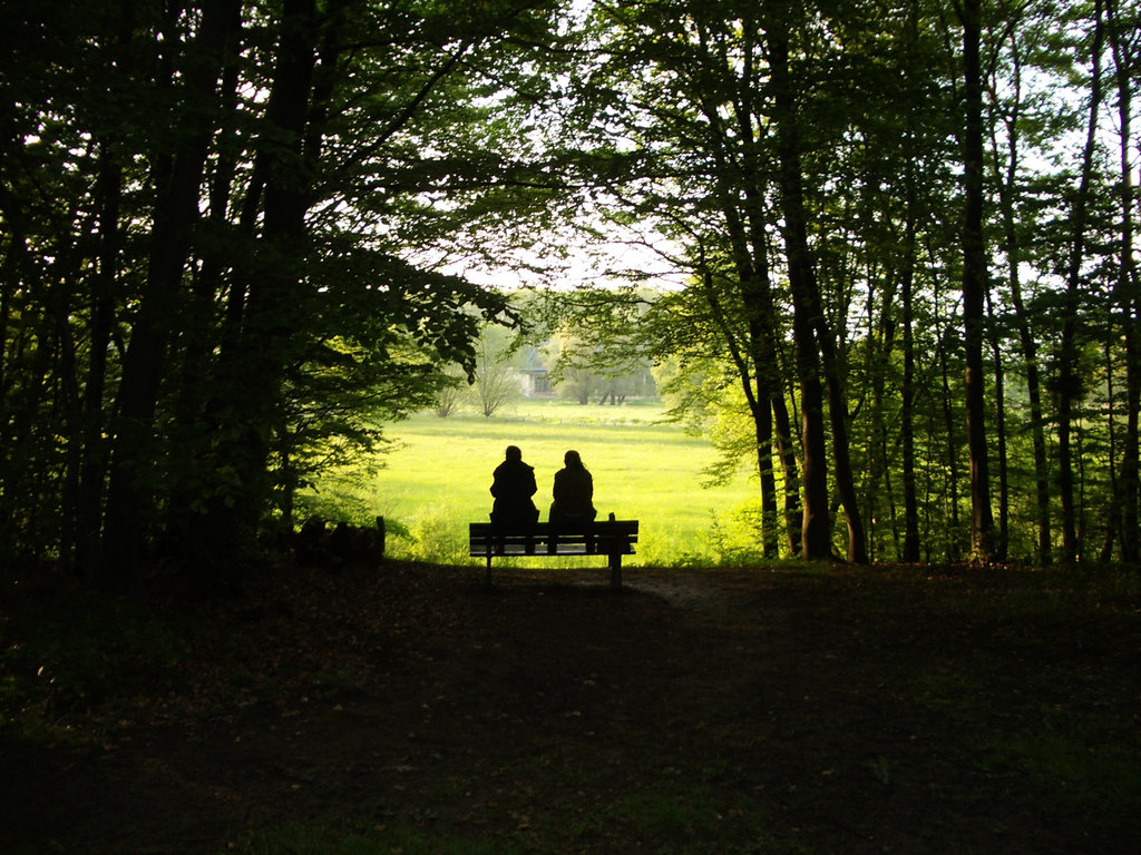 auf die Wiese sehen/ Couple looking out of forest on the meadow