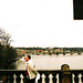 Prague Bridges From Most Legii, Prague, CZ, 2005