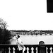 Prague Bridges From Most Legii, B&W Version, Prague, CZ, 2005