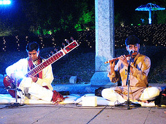 Two musicians at a wedding reception