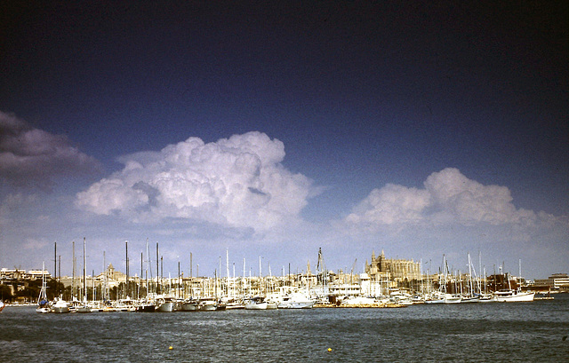 Hafen Palma