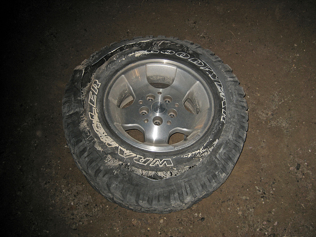 Pat's Tire (8587)