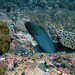 Moray eel curiously looking out