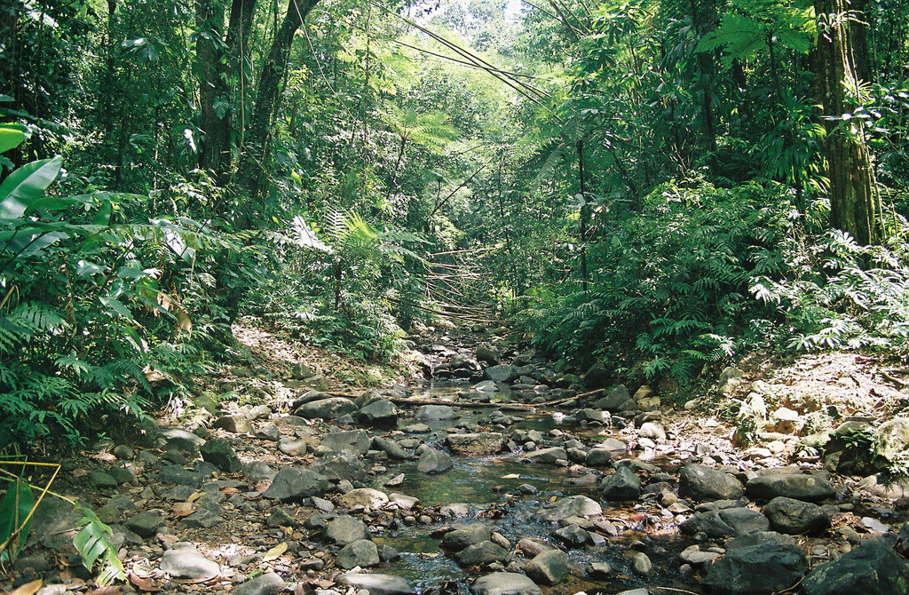 La trace des jésuites Martinique 2006