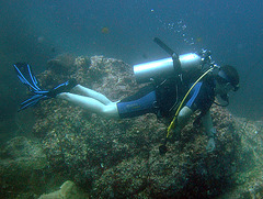 Diving partner at the side