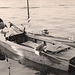 young man in dreiecksbadehose on his boat 1930'