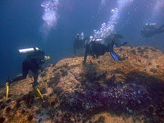 Diving in Burma 41