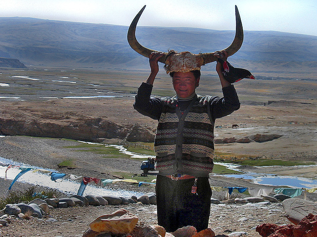 Siri our Tibetan driver shows a carved Yak horn