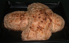 Colomba Pasquale, Easter Dove