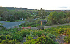 San Mateo Campground View of I-5 (9136)