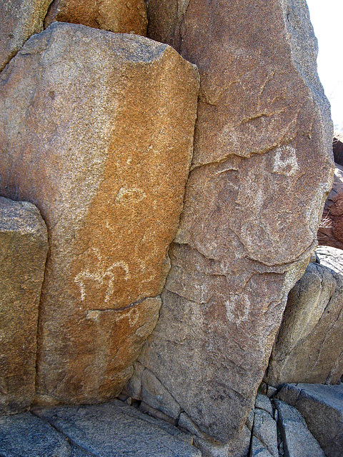 Corn Spring Petroglyph (1246)