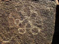 Corn Spring Petroglyph (1249)
