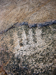 Corn Spring Petroglyph (9047)