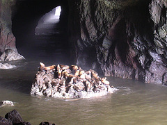 Höhlenplatz