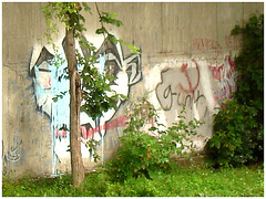 Graffitis et rapides -  Graf and rapids - Dans ma ville - Hometown -  October 12th 2008.
