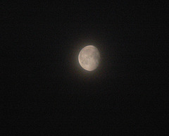 2009-01-14 Mond