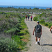 Trail to San Onofre (9162)