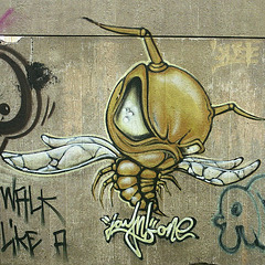 außerirdische Biene / alien bee