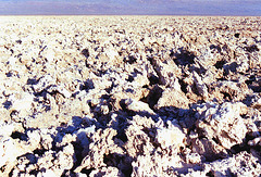 salar d'Atacama