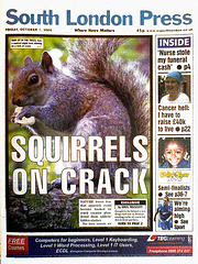 Crack squirrel 2