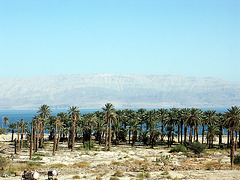 View over the Dead Sea