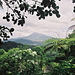 La trace des jésuites Martinique 2006