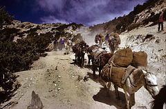 Other caravans passing the old salt route