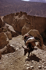 Steep way to the DzongLa (pass)