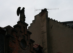 Bamberg Angel