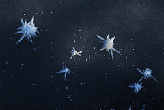 Frost stars on ice