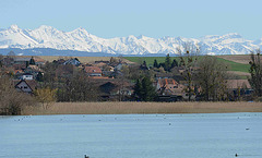 Panorama depuis le lac de Neuchâtel...
