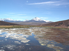 Altiplano 03