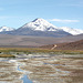 Altiplano 04